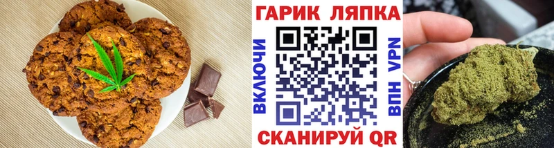 Купить закладки  Сысерть  Cannafood конопля 