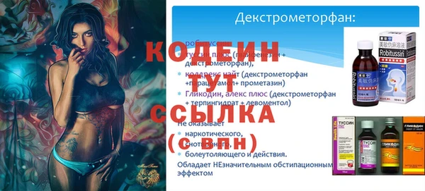 крисы Новокубанск