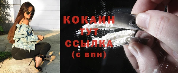 амф Новозыбков