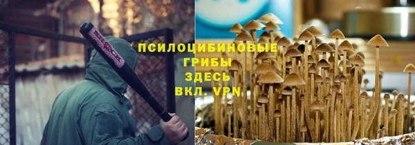 амф Новозыбков