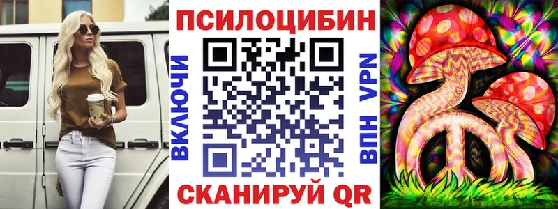 Псилоцибиновые грибы мухоморы  Купить закладки  Сысерть 